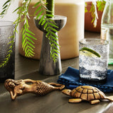 Alyse Glassware (Pack of 6) Glassware