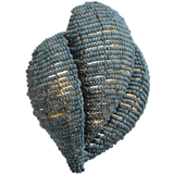 Anguilla Wall Sconce Wall Sconces