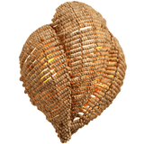 Anguilla Wall Sconce Wall Sconces