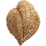 Anguilla Wall Sconce Wall Sconces