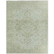 Aposio Rug Area Rugs RUG160809