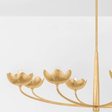 Arcata Chandelier Chandelier