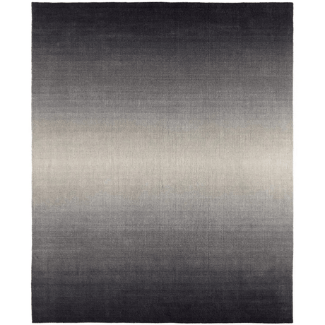 Arena Odion Rug Area Rugs RUG158311