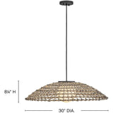 Arlen Hanging Pendant Pendant 10395BK 640665928969