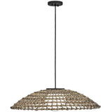 Arlen Hanging Pendant Pendant 10395BK 640665928969