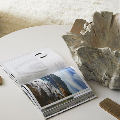 Arteriors Nantucket Driftwood Bowl Pillow & Decor Arteriors-5410 00796505071293