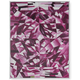 Asha Framed Canvas Painting AHA-675-10