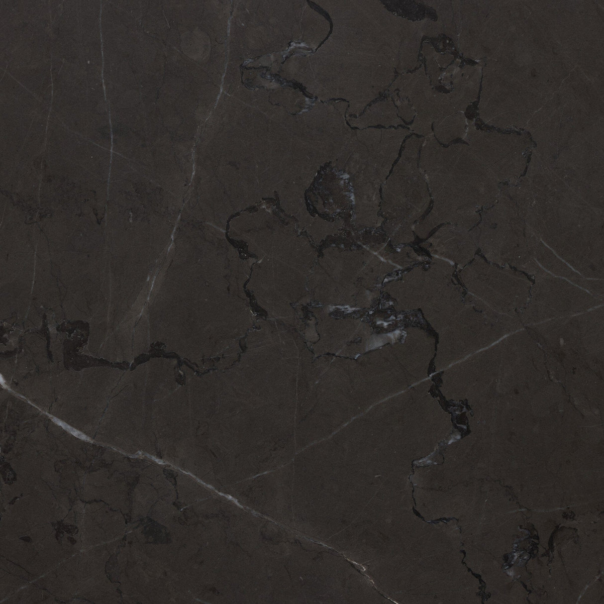 Babylon Coffee Table Coffee Table