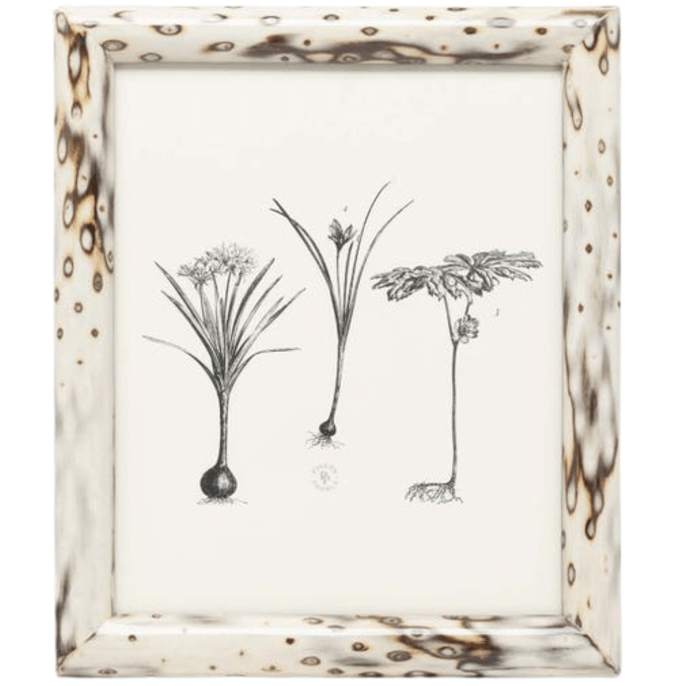 Bisbee Picture Frame Picture Frame 02BISB-MPL-8X10