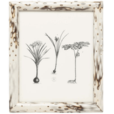 Bisbee Picture Frame Picture Frame 02BISB-MPL-8X10