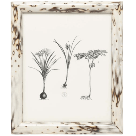 Bisbee Picture Frame Picture Frame 02BISB-MPL-8X10