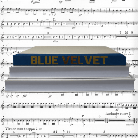 Blu Books - Gold Lettered Song Title on Denim Blue Decor e-lawrence-GL-SONG-COLOR-DE-XL