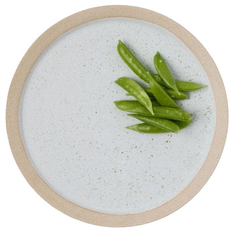 Blue Pheasant Rivka Dinnerware (Pack of 4) Teal Tabletop