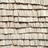 Bradshaw Wall Art Wall Art