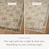 Brair Rug Area Rugs