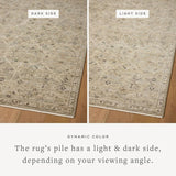 Brair Rug Area Rugs