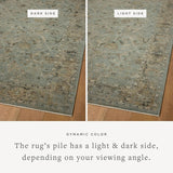 Brair Rug Area Rugs