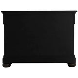 Burkhardt Chest Chests SCH-175610