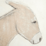 Burro Dia by Paul Meyer Wall Art