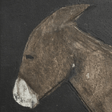 Burro Noche by Paul Meyer Wall Art