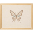 Butterfly Wall Art AW0649BUTBEIVBRZ443 885369833601