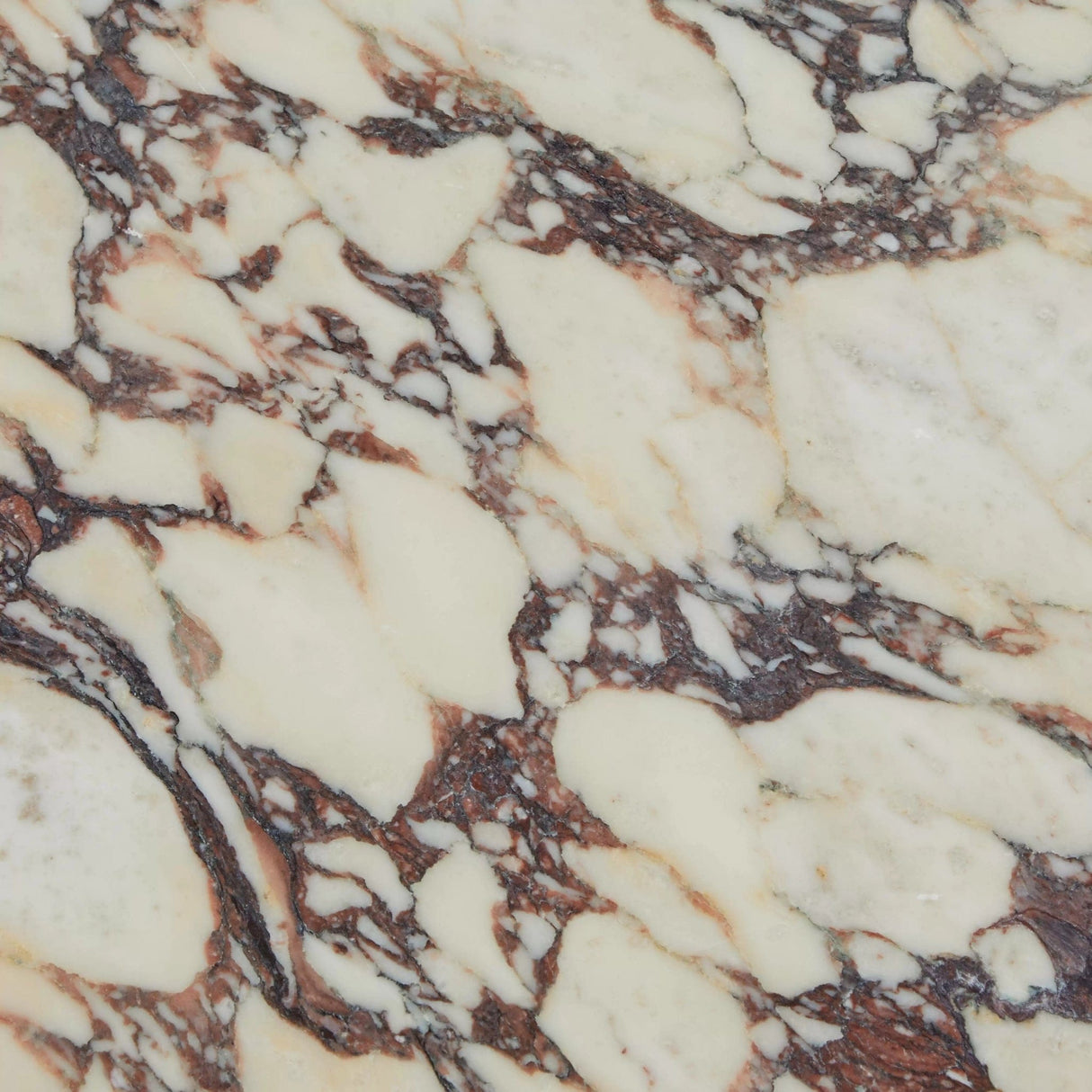 Cain Coffee Table Coffee Table SCH-175788