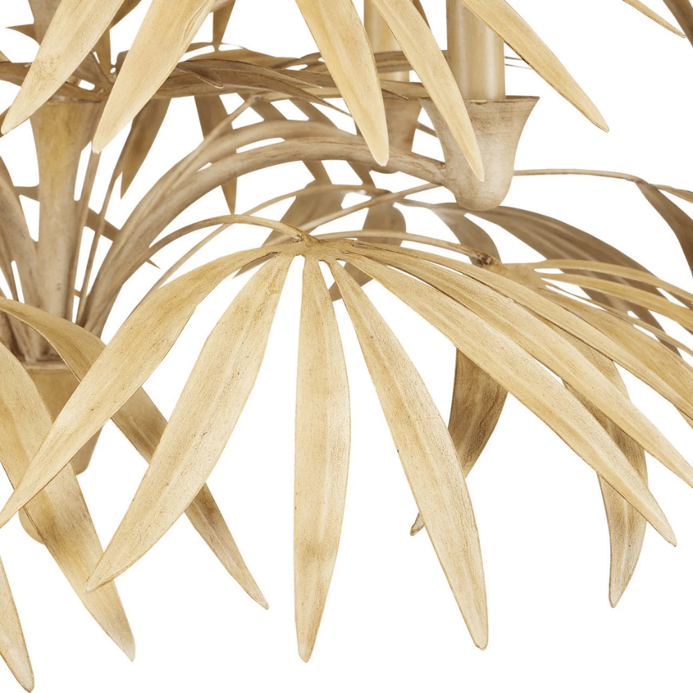 Calliope Coco Chandelier Chandelier 9000-0930 00633306045835