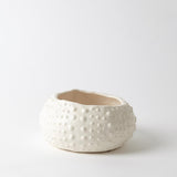 Ceramic Urchin Bowl - Matte White-Small Decorative Object 3.31156 651083311561