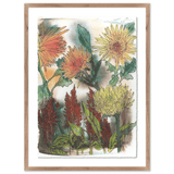 Chrysanthemums and Celosia by Katie Chance Wall Art 247123-011 801542988470