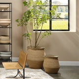 Cobra Basket Set Decor 10COBR-BANA 688933038057