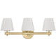 Colton 3-Light Bathroom Vanity Vanity/Bath Lights COL-203-VG 633779105029