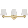 Colton 3-Light Bathroom Vanity Vanity/Bath Lights COL-203-VG 633779105029