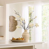 Conservatory Vase Vases + Urns 7CONS-VAWH 688933041675