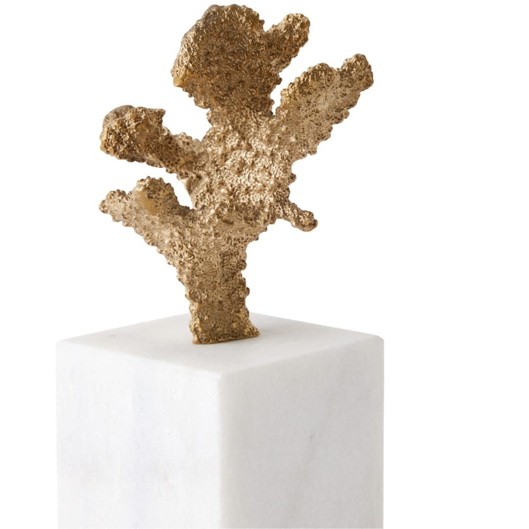 Coral Sculptures (Set of 2) Sculptural Objects 883297
