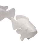 Crawford Object (Set of 2) Decor