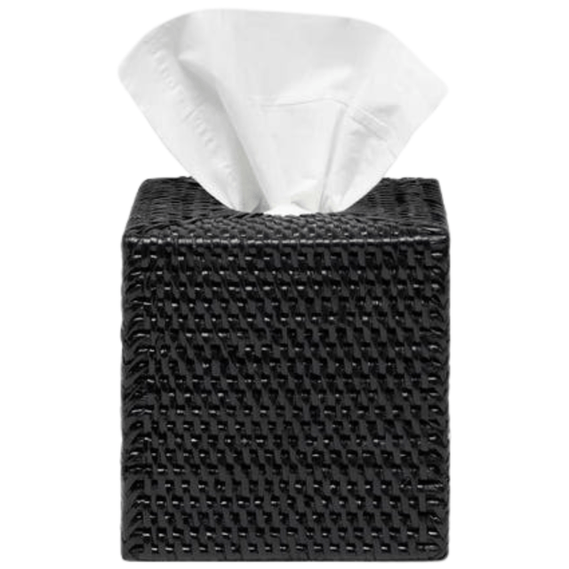 Dalton Tissue Box Bath Accessory 01DALT-TBLK-TBSS