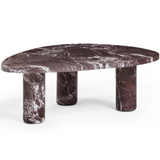 Dani Indoor/Outdoor Coffee Table Coffee Tables TOV-OC54641 793580647160