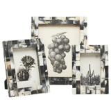 Darwin Picture Frame Picture Frame