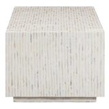 Daryl Shell Coffee Table Coffee Tables