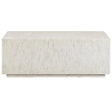 Daryl Shell Coffee Table Coffee Tables TOV-OC54800