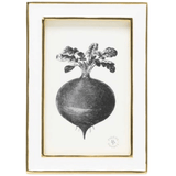 Delphi Picture Frame Picture Frame 02DELP-WHGL-4X6