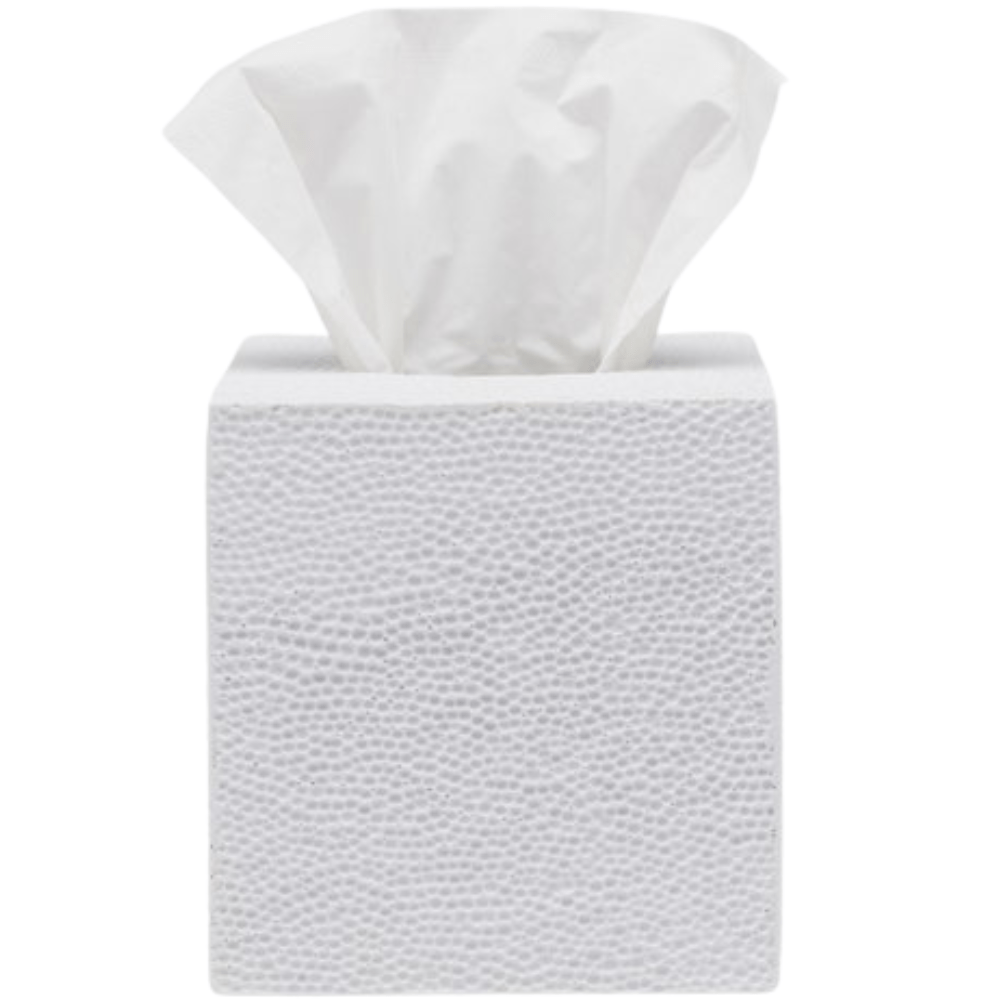 Dover Bath Collection Bath Accessory 01DOVE-WH-TBSS