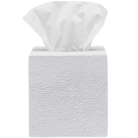 Dover Bath Collection Bath Accessory 01DOVE-WH-TBSS