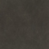 Dylan Counter + Bar Stool (Set of 2) Stool