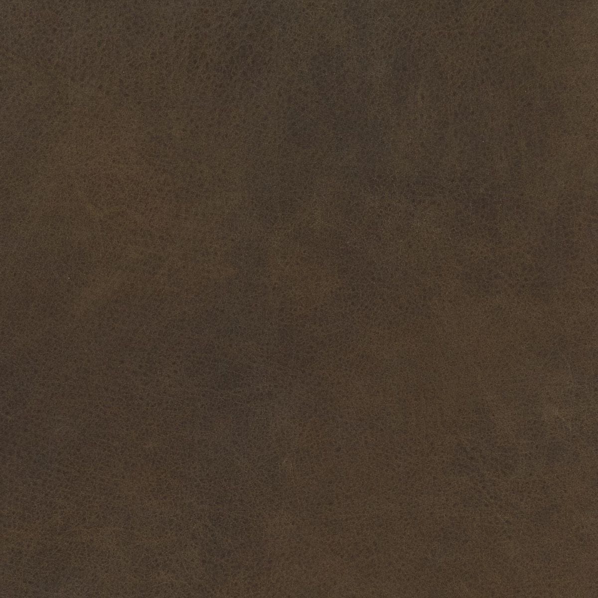 Dylan Counter + Bar Stool (Set of 2) Stool