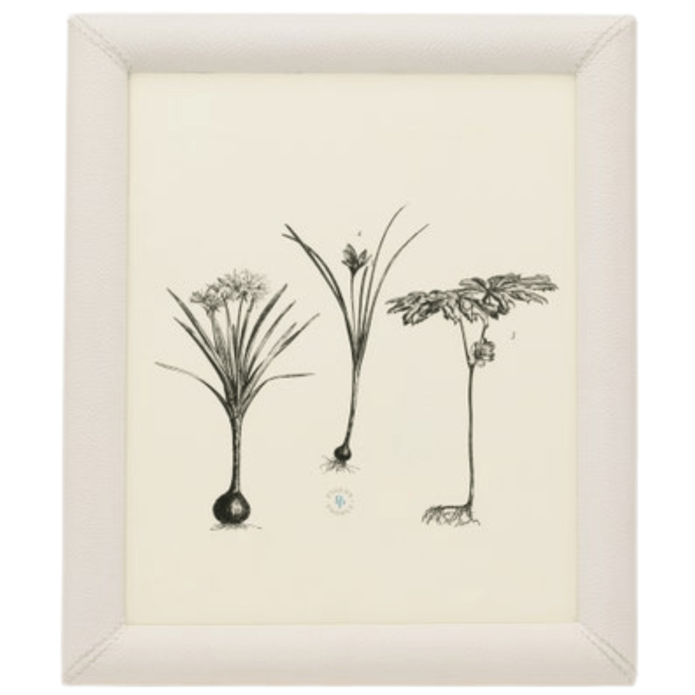 Eton Picture Frame Picture Frame 02ETON-GY-8X10