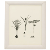 Eton Picture Frame Picture Frame 02ETON-GY-8X10