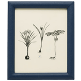 Eton Picture Frame Picture Frame 02ETON-NV-8X10