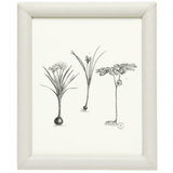 Eton Picture Frame Picture Frame 02ETON-WH-8X10