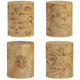 Figaro Natural Burl Drum Side Table Side Table TOV-OC54473